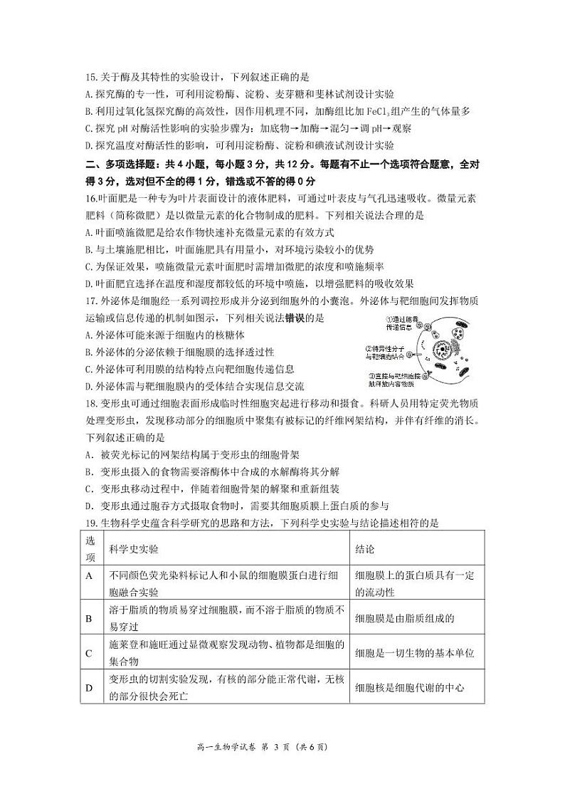 江苏省连云港市灌南县2024-2025学年高一上学期11月期中生物试题03