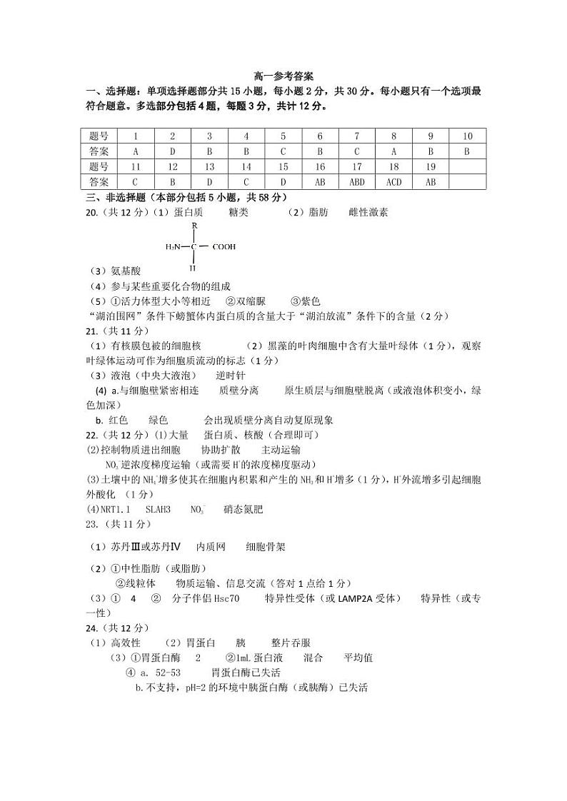 江苏省连云港市灌南县2024-2025学年高一上学期11月期中生物试题01