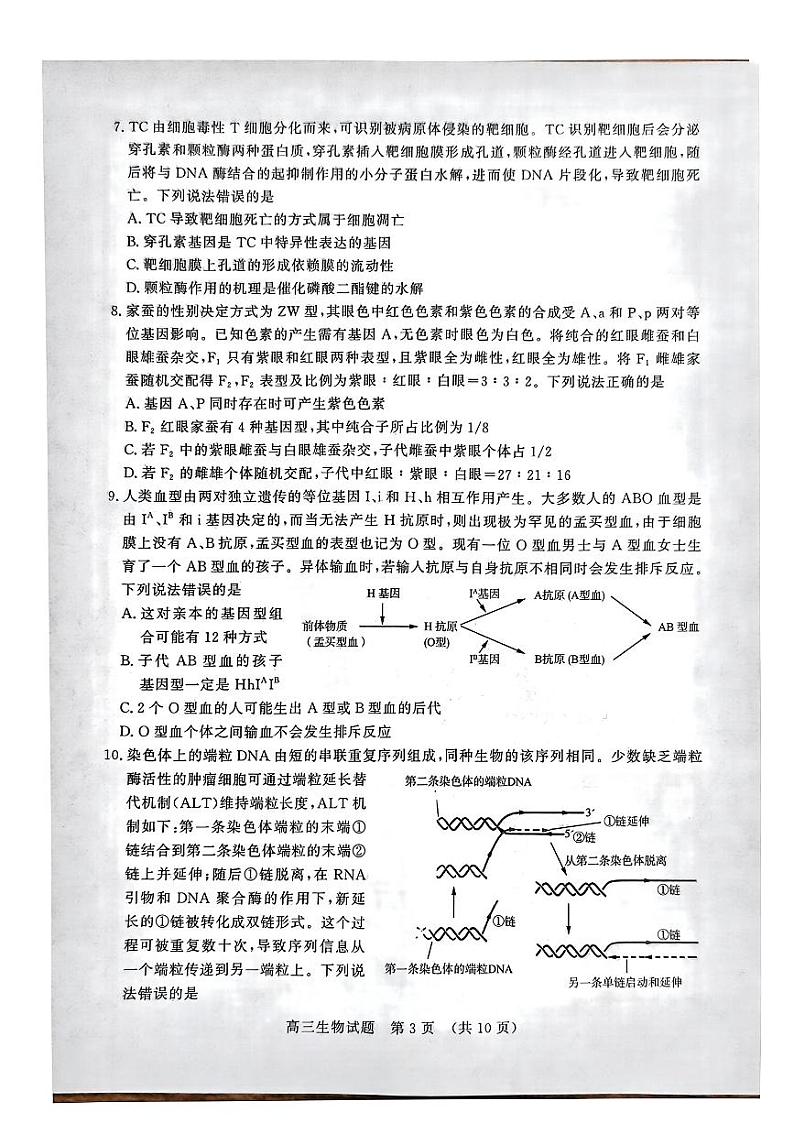 山东省名校考试联盟2024-2025学年高三上学期期中考试生物试卷(PDF版附答案)第3页