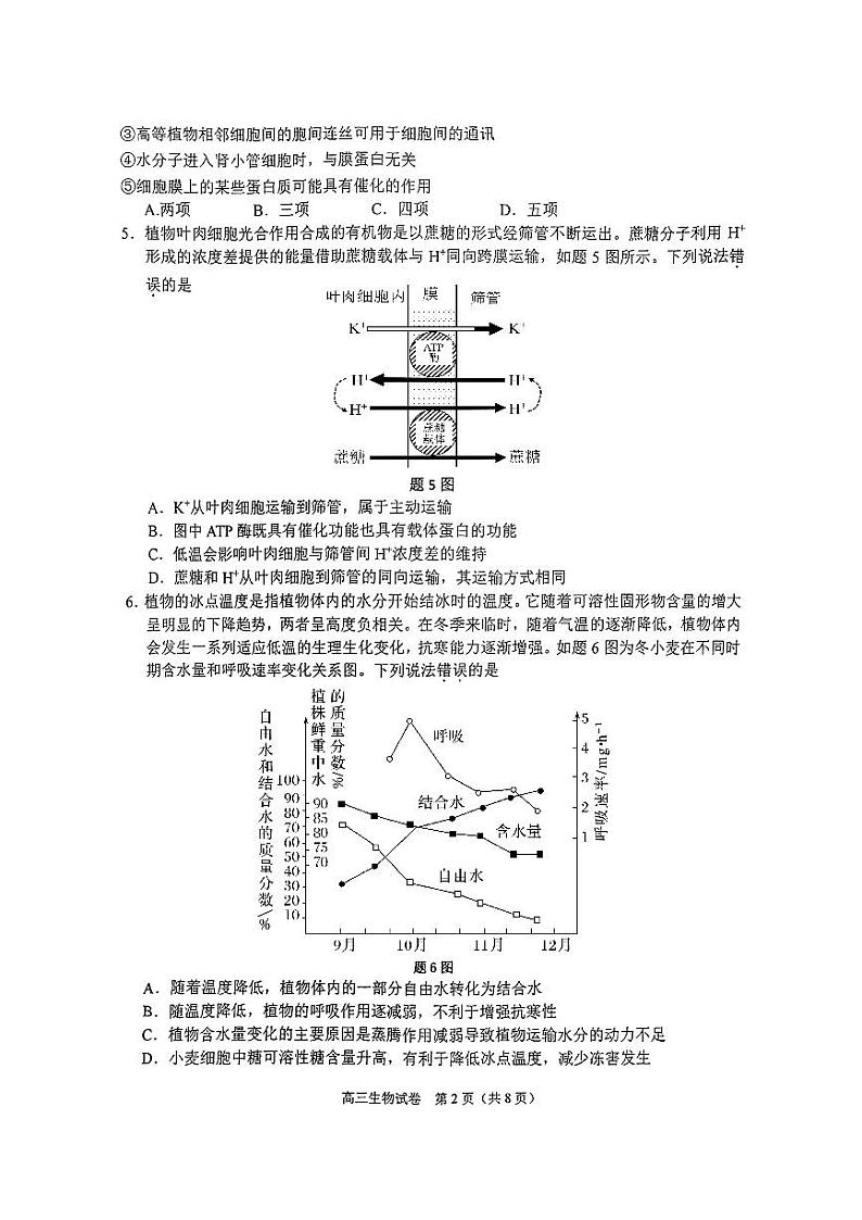 重庆市2024-2025学年高三上学期10月期中考试生物试卷(PDF版附答案)02