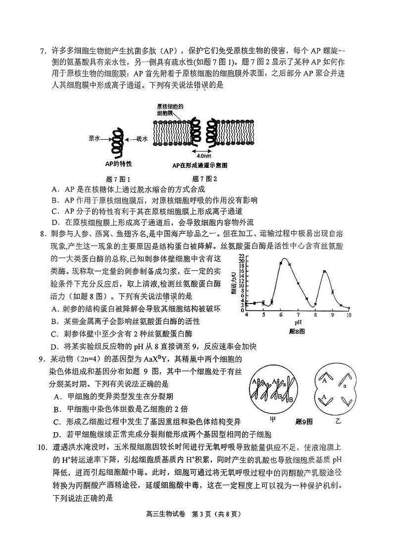 重庆市2024-2025学年高三上学期10月期中考试生物试卷(PDF版附答案)03