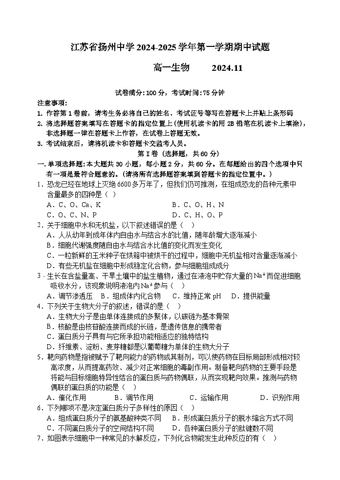江苏省扬州中学2024-2025学年高一上学期11月期中考试生物试卷(Word版附答案)第1页