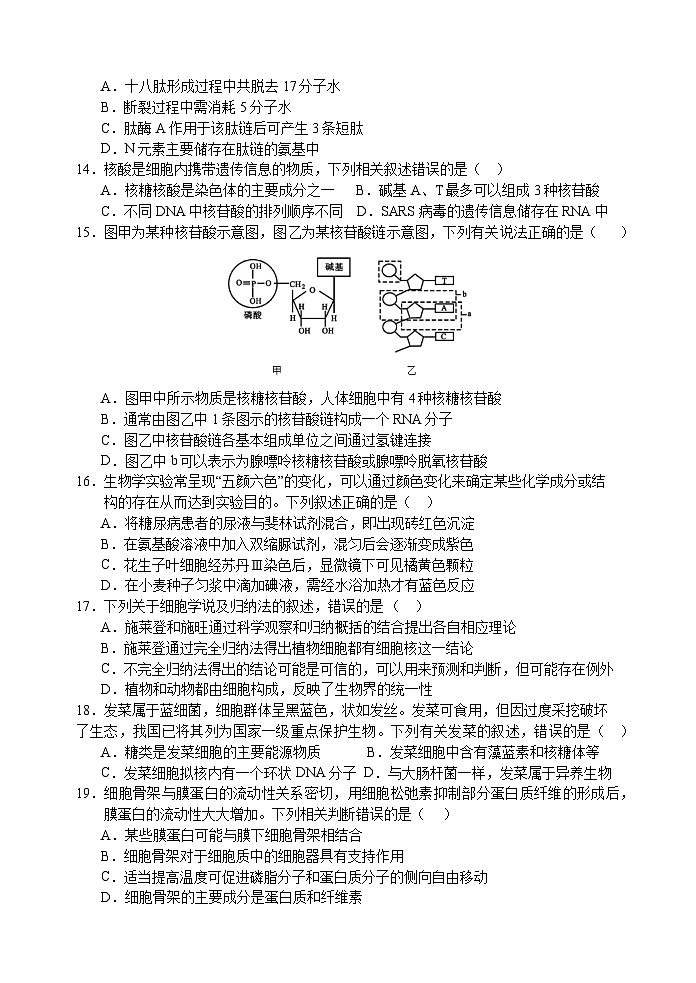 江苏省扬州中学2024-2025学年高一上学期11月期中考试生物试卷(Word版附答案)第3页