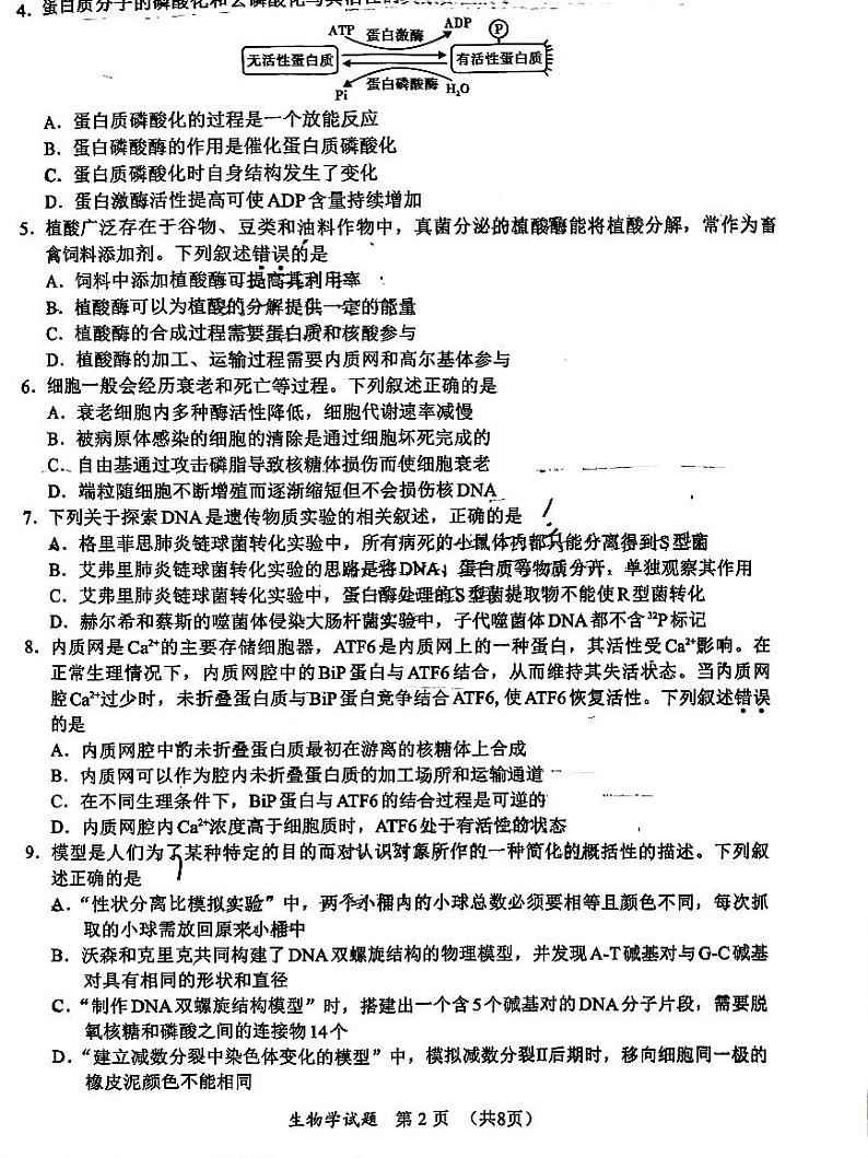 2025届福建省名校联盟高三上学期11月期中考-生物试卷+答案第2页