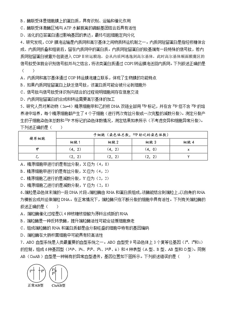 辽宁省实验中学2024-2025学年高三上学期期中考试生物试题第2页