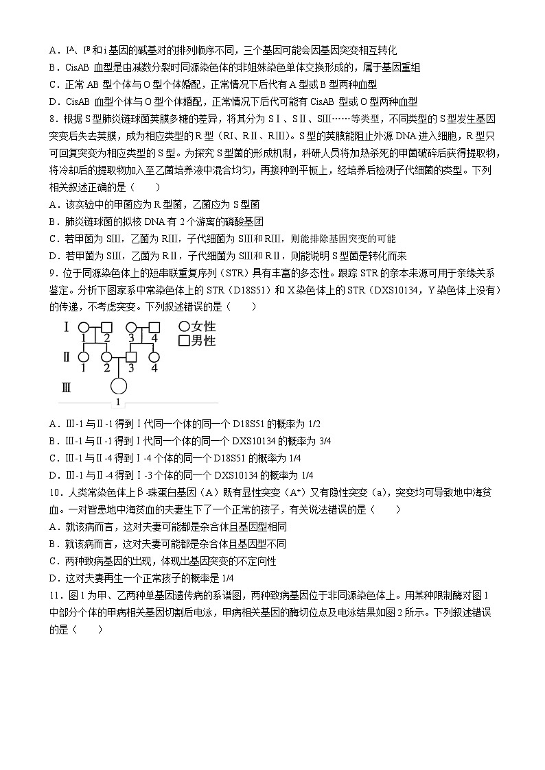 辽宁省实验中学2024-2025学年高三上学期期中考试生物试题第3页