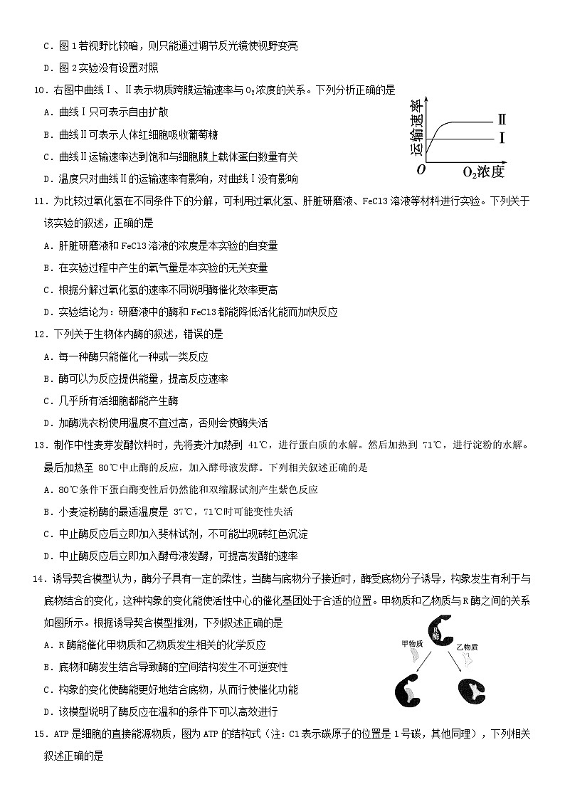 生物月考11月第3页