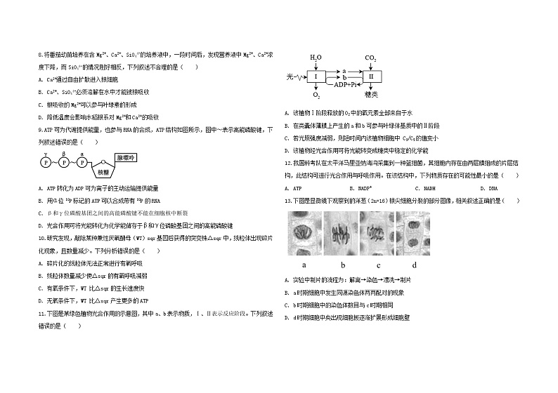 高三期中考试20241105第2页