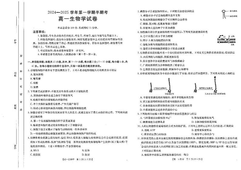 福建省龙岩市非一级达标校2024-2025学年高一上学期11月期中联考生物试题第1页