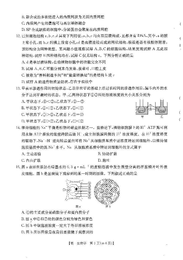 福建省龙岩市非一级达标校2024-2025学年高一上学期11月期中联考生物试题第2页