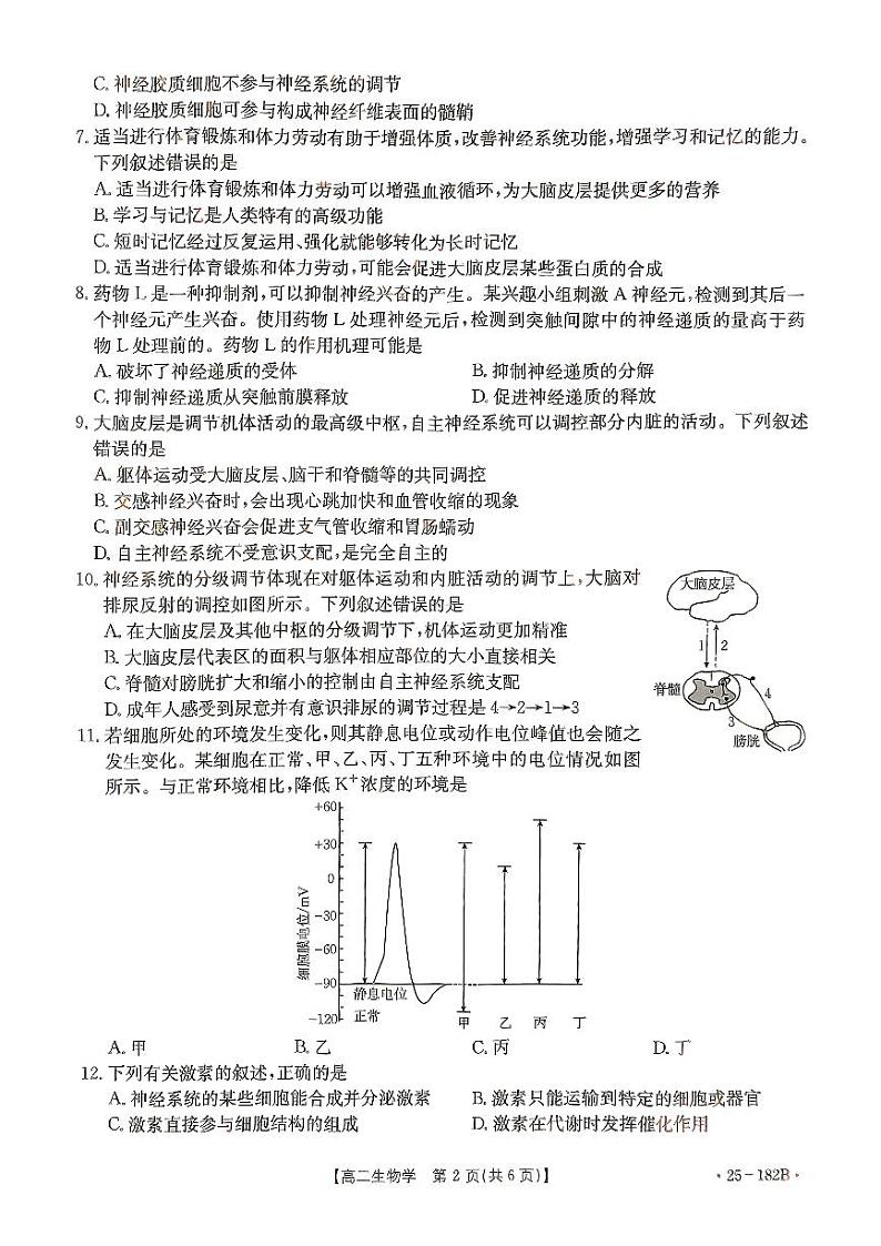 内蒙古自治区赤峰市名校2024-2025学年高二上学期期中联考生物试题02