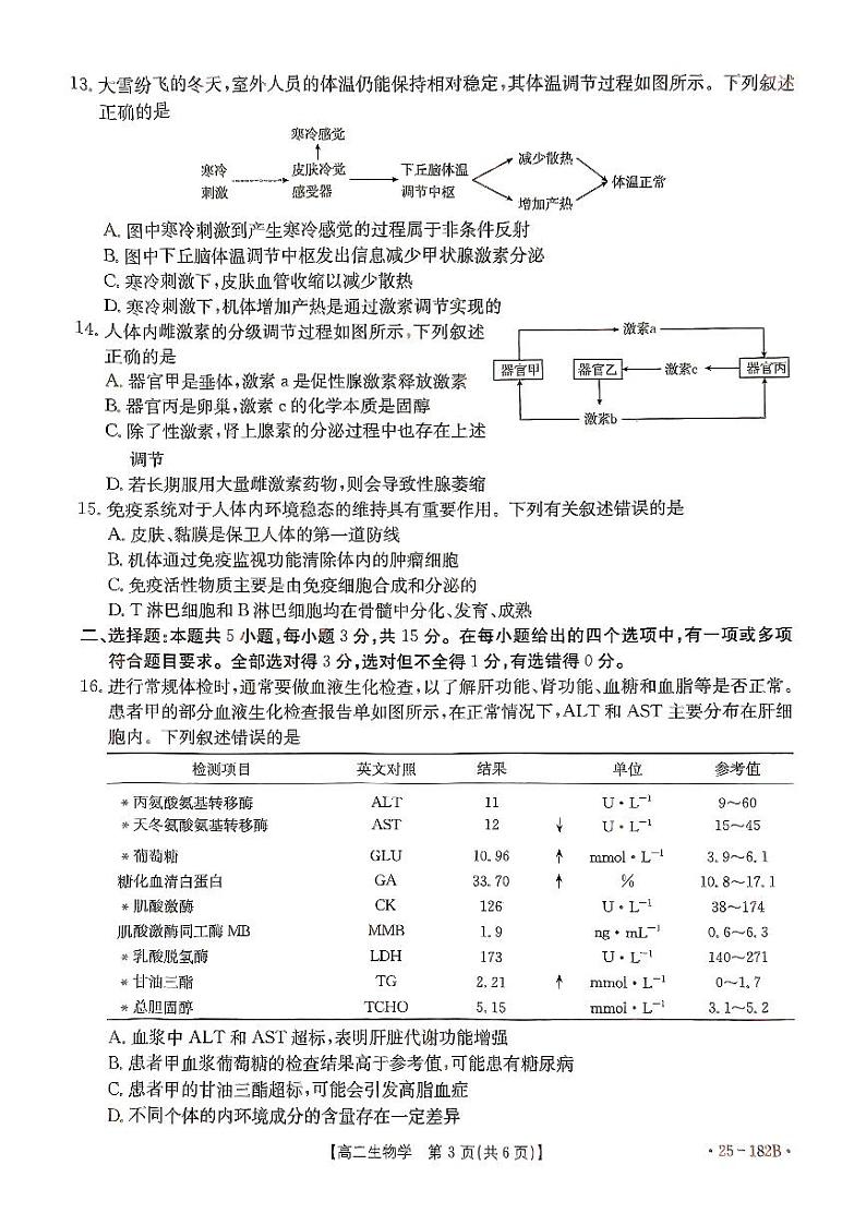 内蒙古自治区赤峰市名校2024-2025学年高二上学期期中联考生物试题03