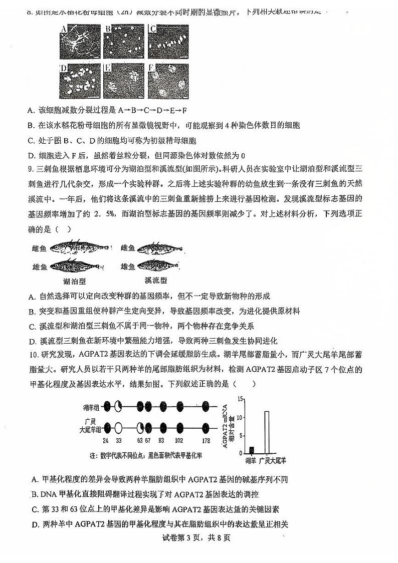 福建省福州市鼓楼区福州第三中学2024-2025学年高三上学期11月期中生物试题03