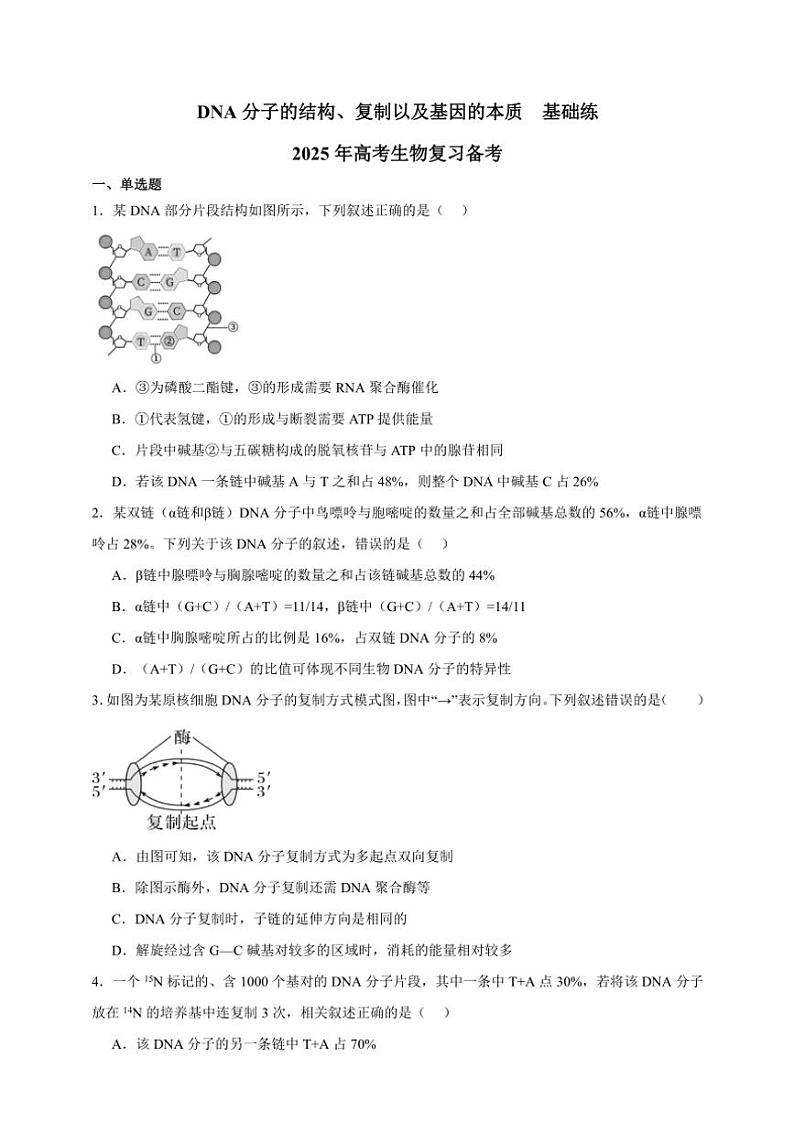 2025年高考生物一轮复习 DNA分子的结构、复制以及基因的本质 基础练第1页