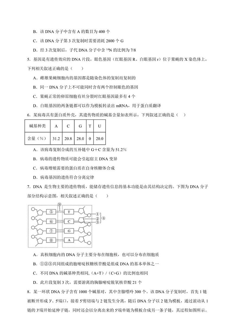2025年高考生物一轮复习 DNA分子的结构、复制以及基因的本质 基础练第2页