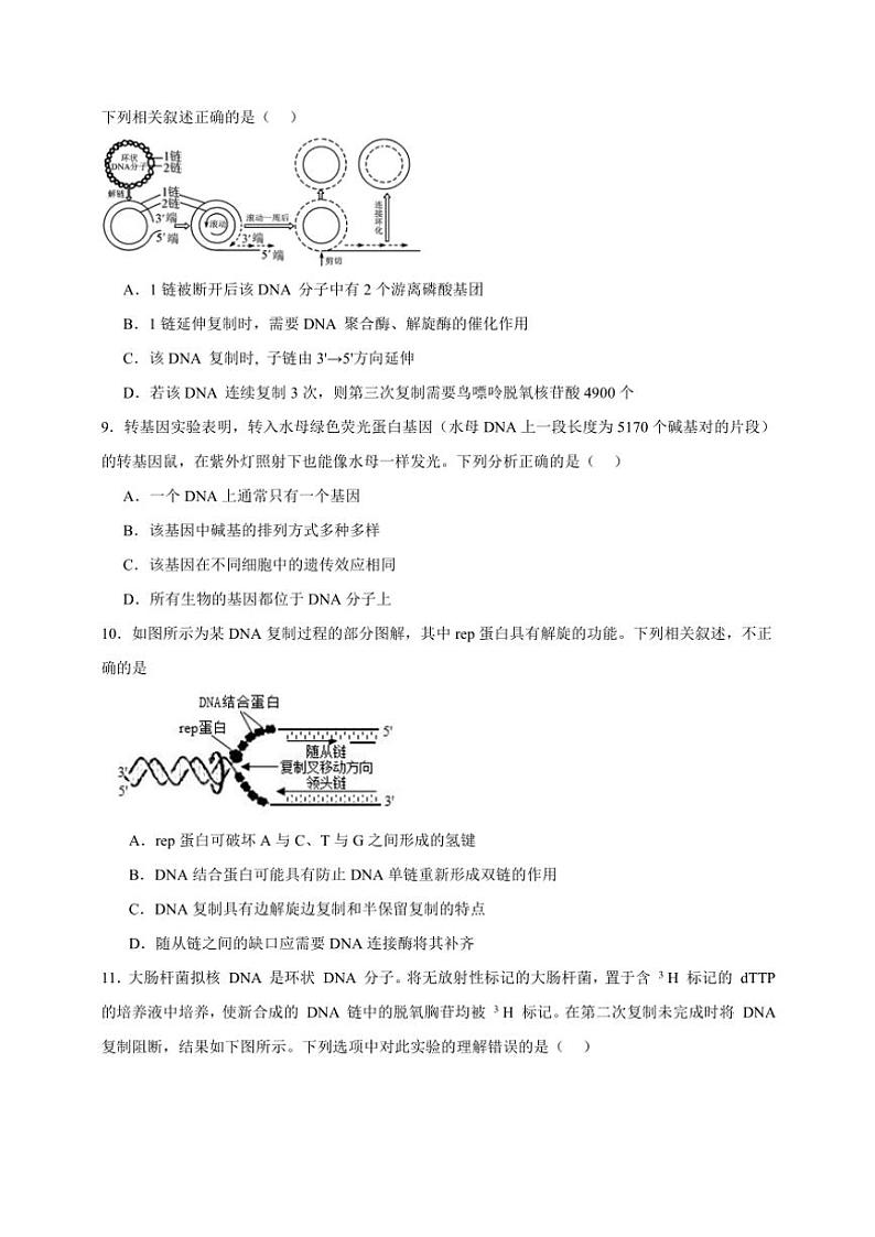 2025年高考生物一轮复习 DNA分子的结构、复制以及基因的本质 基础练第3页
