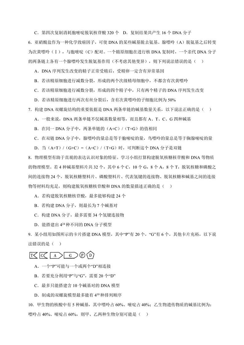 2025年高考生物一轮复习 DNA分子的结构、复制以及基因的本质 提升练第2页
