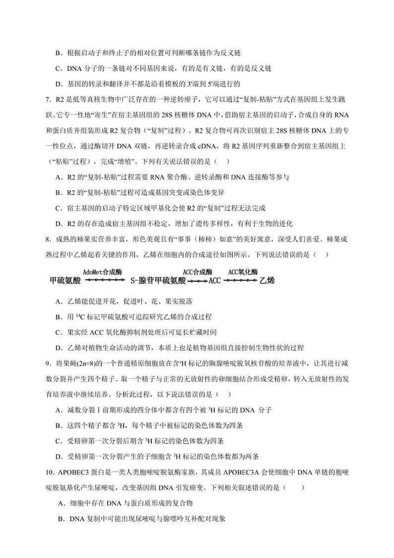 2025年高考生物一轮复习 遗传的分子基础 综合练第3页