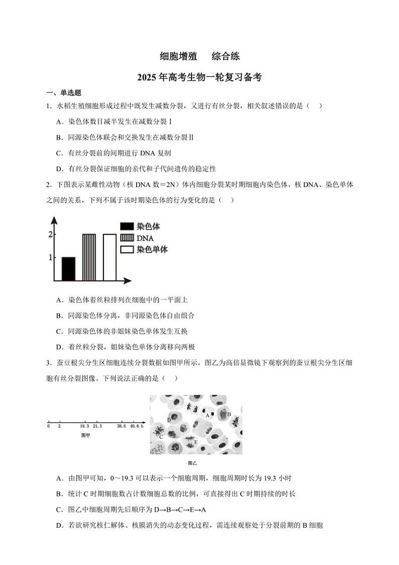 2025年高考生物一轮复习 细胞增殖 综合练第1页