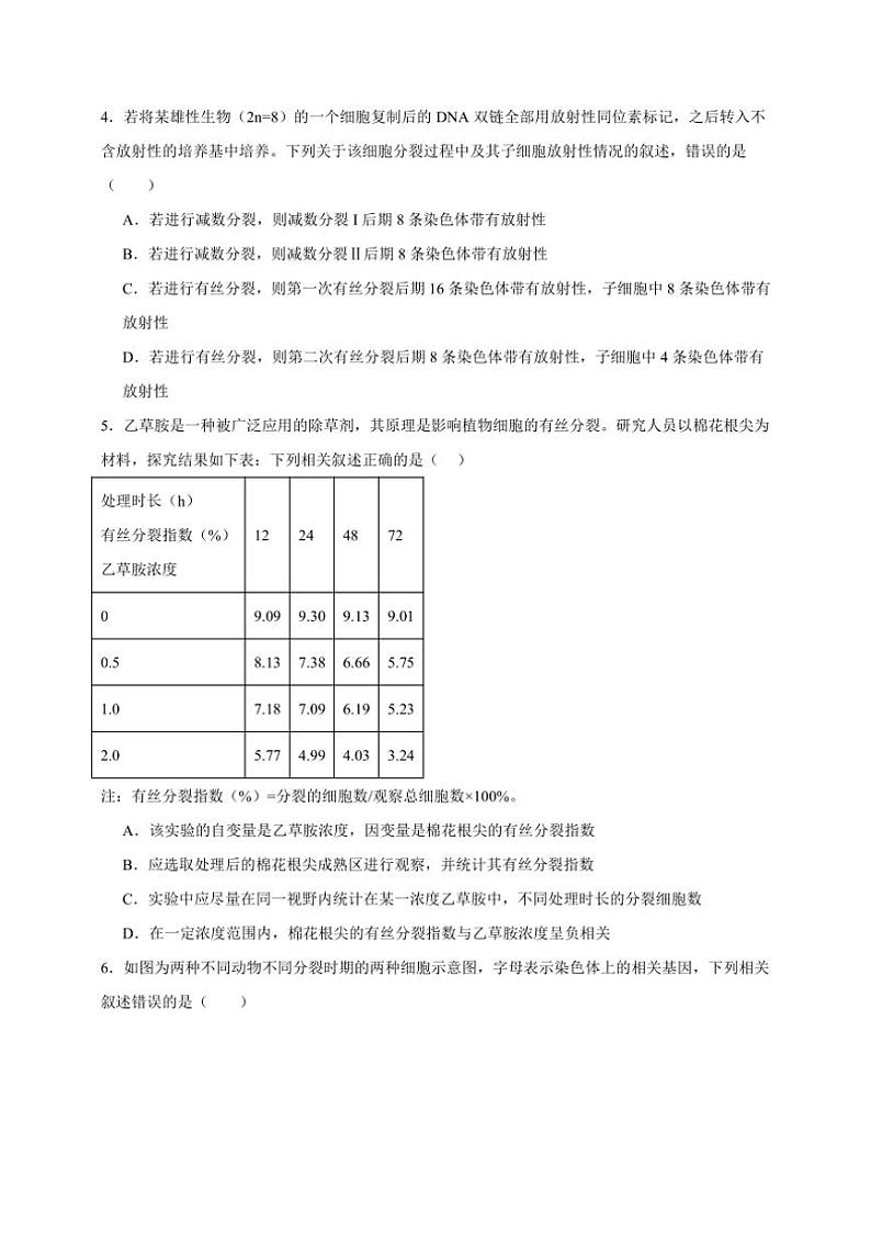 2025年高考生物一轮复习 细胞增殖 综合练第2页
