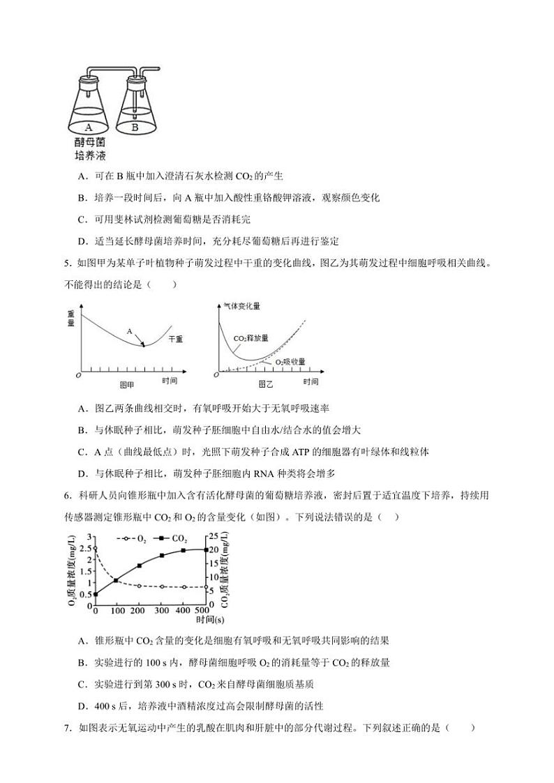 2025年高考生物一轮复习 细胞呼吸 突破练第2页