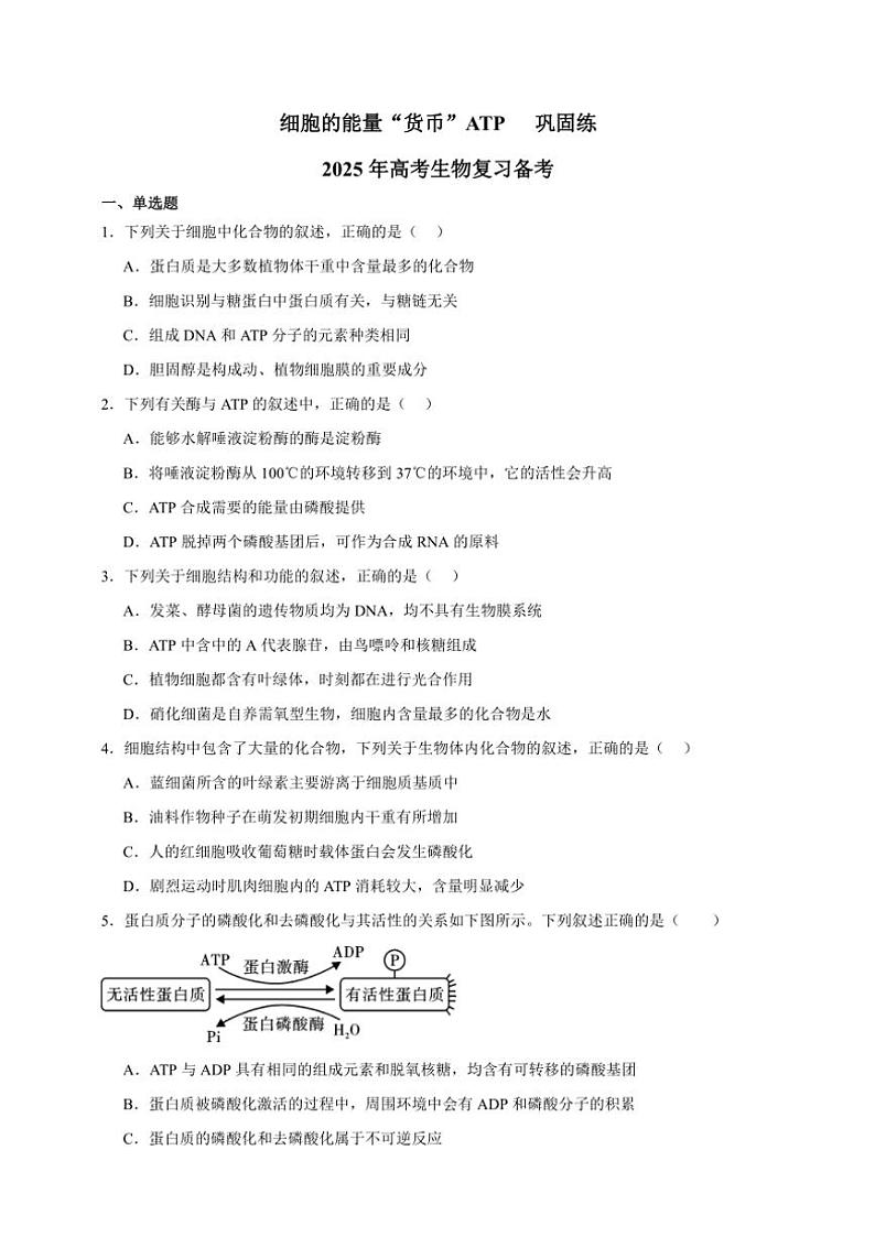 2025年高考生物一轮复习 细胞的能量“货币”ATP 巩固练01