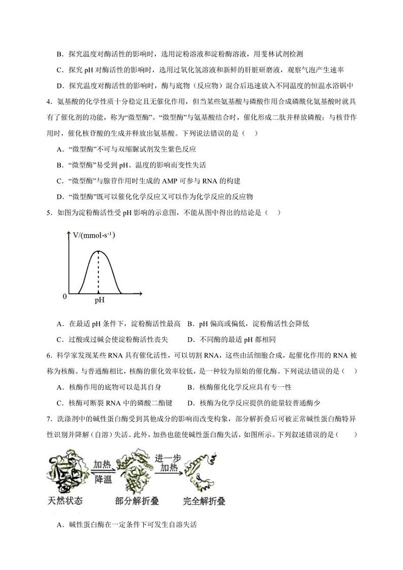2025年高考生物一轮复习 酶的特性 巩固练第2页