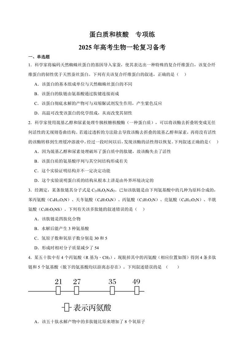 2025年高考生物一轮复习 蛋白质和核酸 专项练第1页