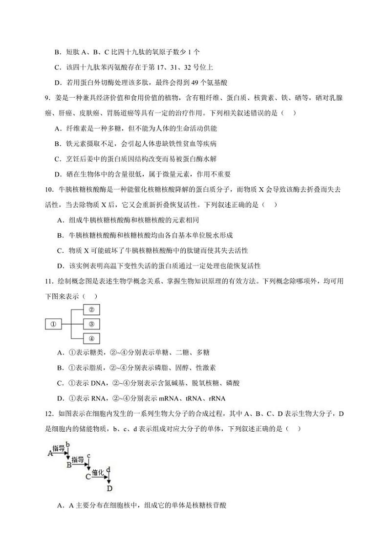 2025年高考生物一轮复习 蛋白质和核酸 专项练第3页