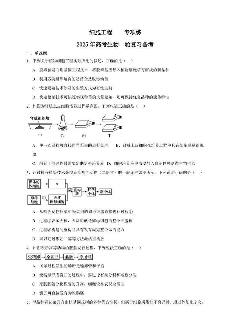 2025年高考生物一轮复习 细胞工程 专项练第1页