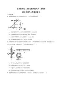 2025年高考生物一輪復(fù)習(xí) 基因的表達(dá)、基因與性狀的關(guān)系 基礎(chǔ)練