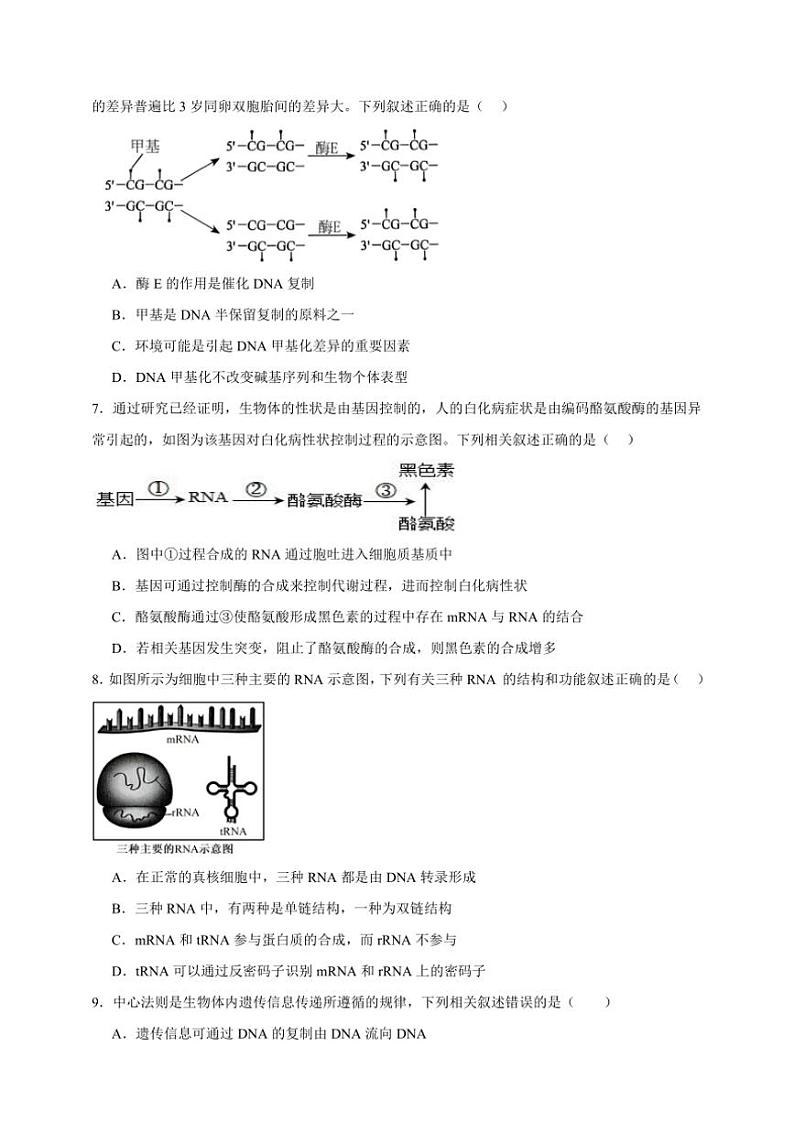 2025年高考生物一轮复习 基因的表达、基因与性状的关系 基础练第3页