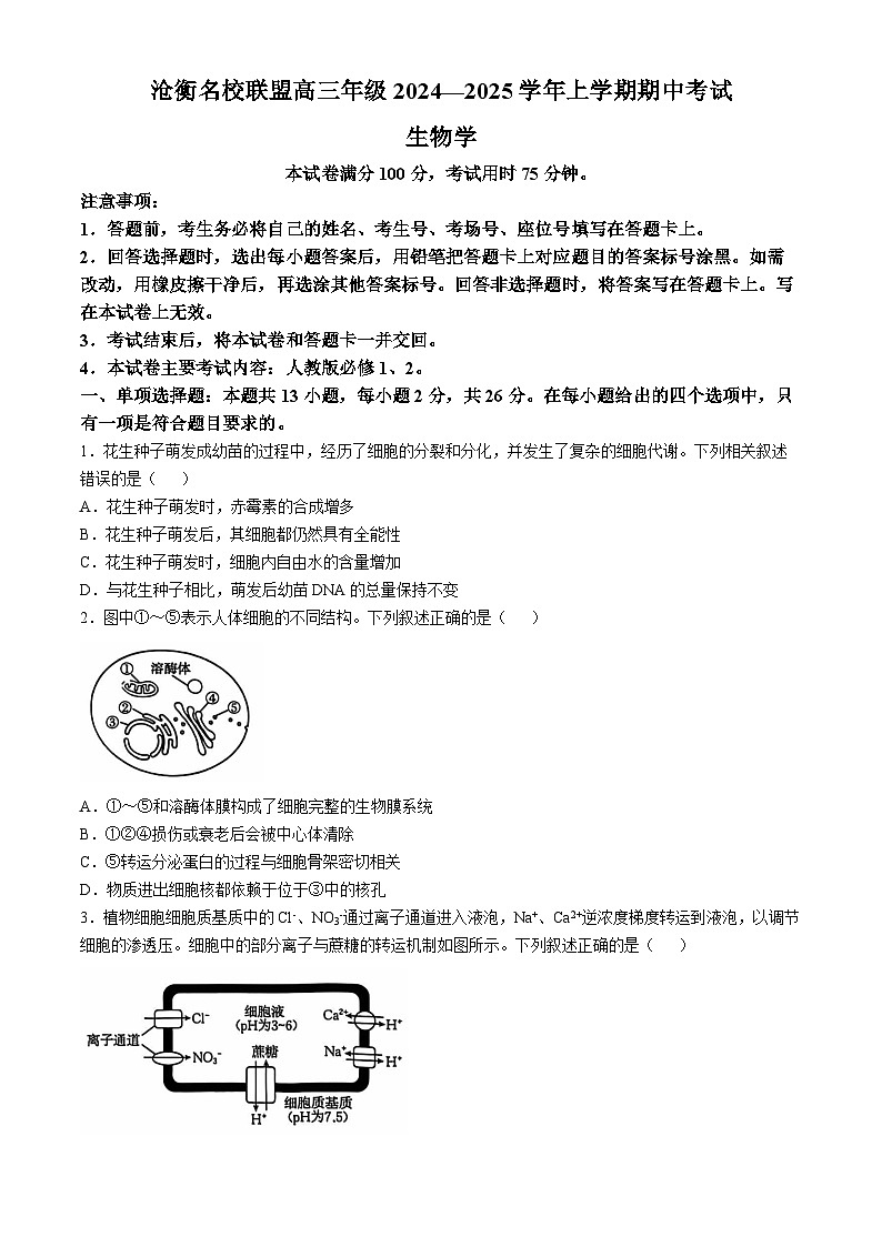 河北省沧州市沧衡名校联盟2024-2025学年高三上学期11月期中生物试题第1页