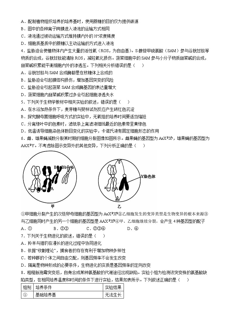 河北省沧州市沧衡名校联盟2024-2025学年高三上学期11月期中生物试题第2页