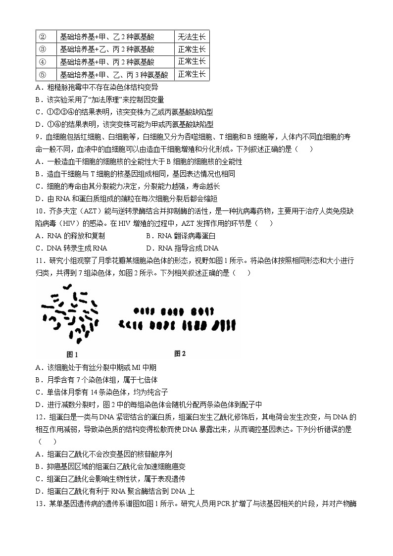 河北省沧州市沧衡名校联盟2024-2025学年高三上学期11月期中生物试题第3页