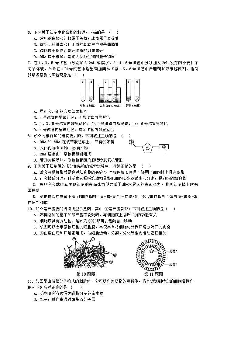 江苏省泰州市海陵区江苏省泰州中学2024-2025学年高一上学期11月期中生物试题(002)第2页