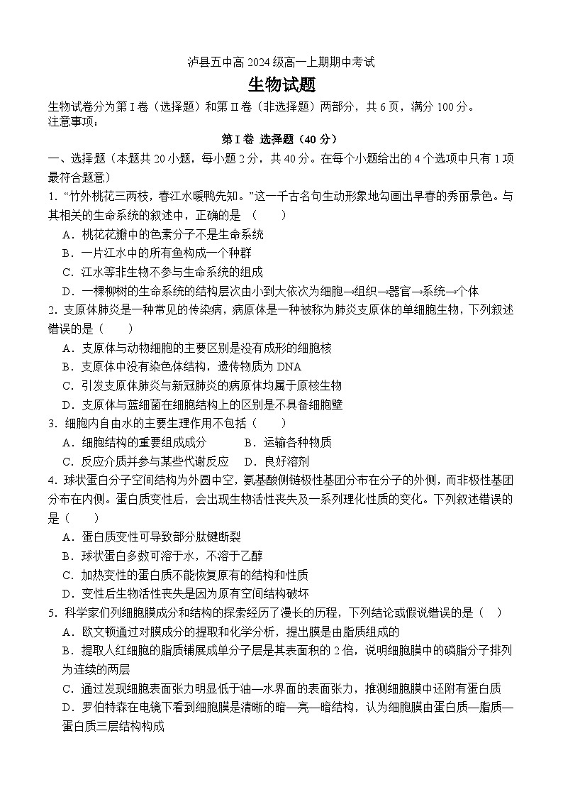 四川省泸州市泸县第五中学2024-2025学年高一上学期11月期中考试生物试题第1页