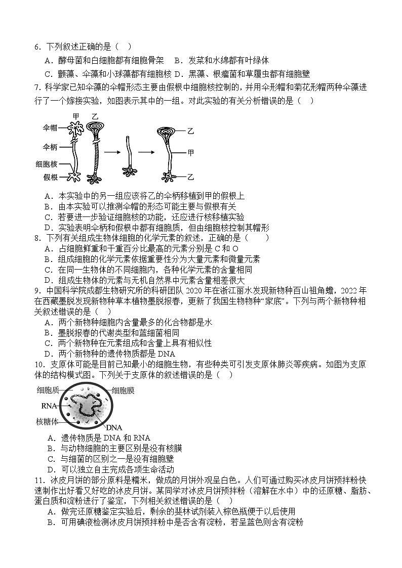 四川省泸州市泸县第五中学2024-2025学年高一上学期11月期中考试生物试题第2页