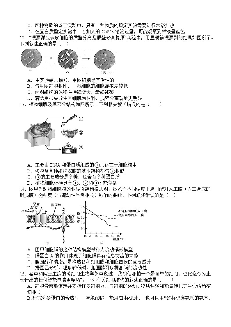 四川省泸州市泸县第五中学2024-2025学年高一上学期11月期中考试生物试题第3页