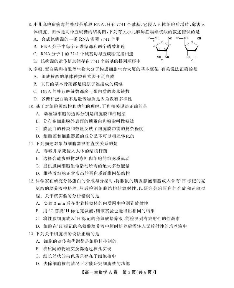 安徽省鼎尖教育2024-2025学年高一上学期11月期中考试生物A卷试题第3页
