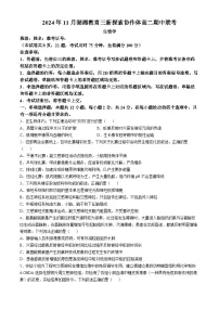 湖南省湖湘教育三新探索协作体(A佳教育)2024-2025学年高二上学期11月期中大联考生物试卷(Word版附解析)