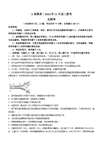 湖南省湖湘教育三新探索协作体(A佳教育)2024-2025学年高三上学期11月期中联考生物试卷(Word版附解析)