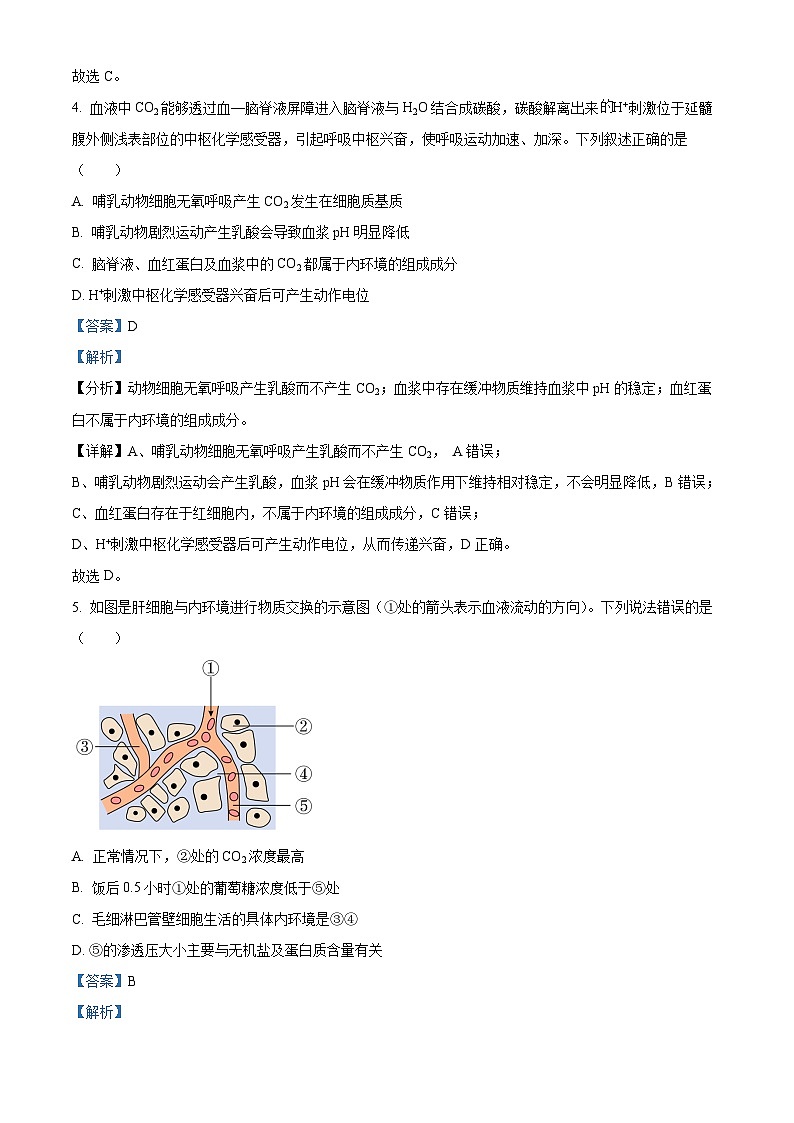 四川省广安市友谊中学2023-2024学年高二上学期10月月考生物试题 Word版含解析第3页
