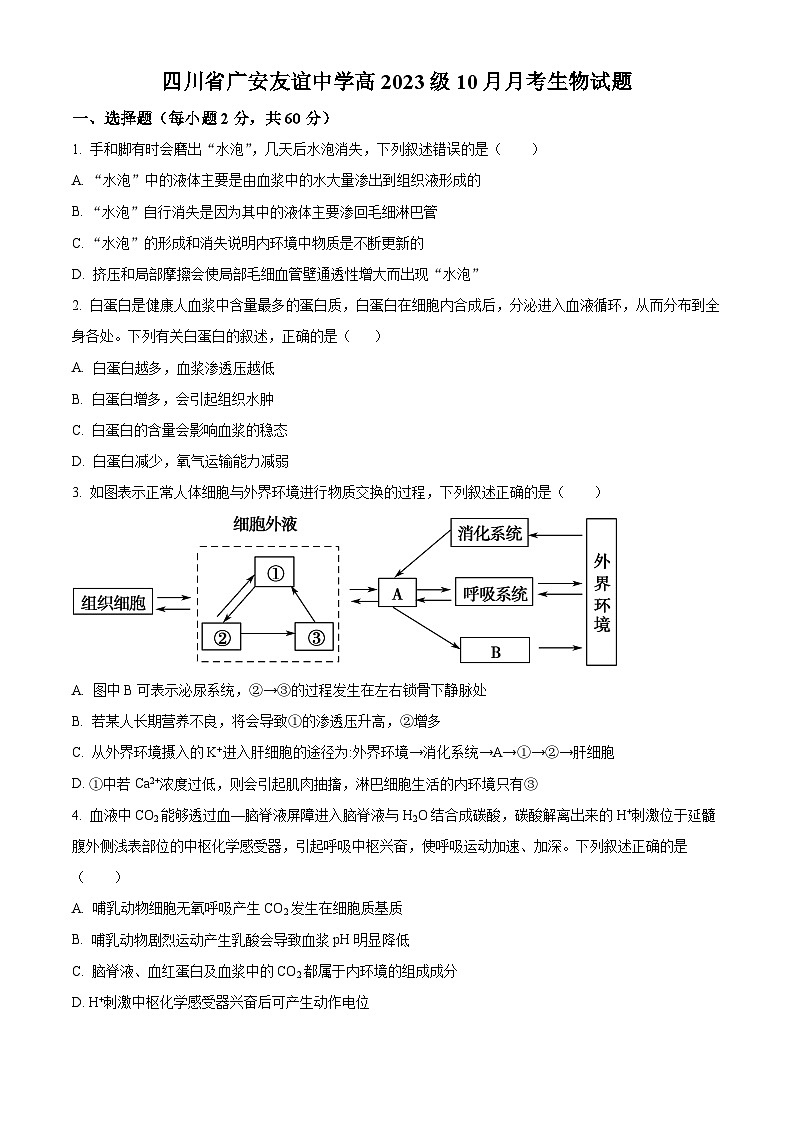 四川省广安市友谊中学2023-2024学年高二上学期10月月考生物试题 Word版无答案第1页