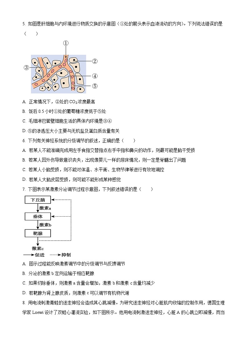 四川省广安市友谊中学2023-2024学年高二上学期10月月考生物试题 Word版无答案第2页