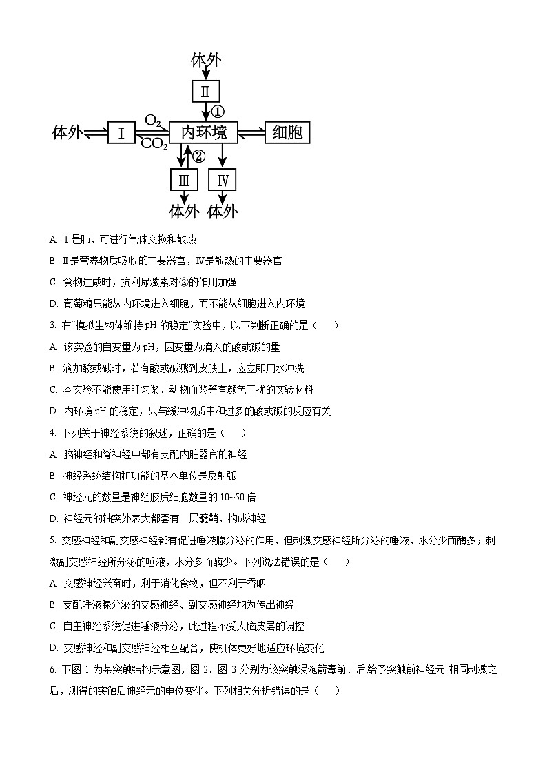 四川省绵阳中学2024-2025学年高二上学期11月期中考试生物题 Word版无答案第2页