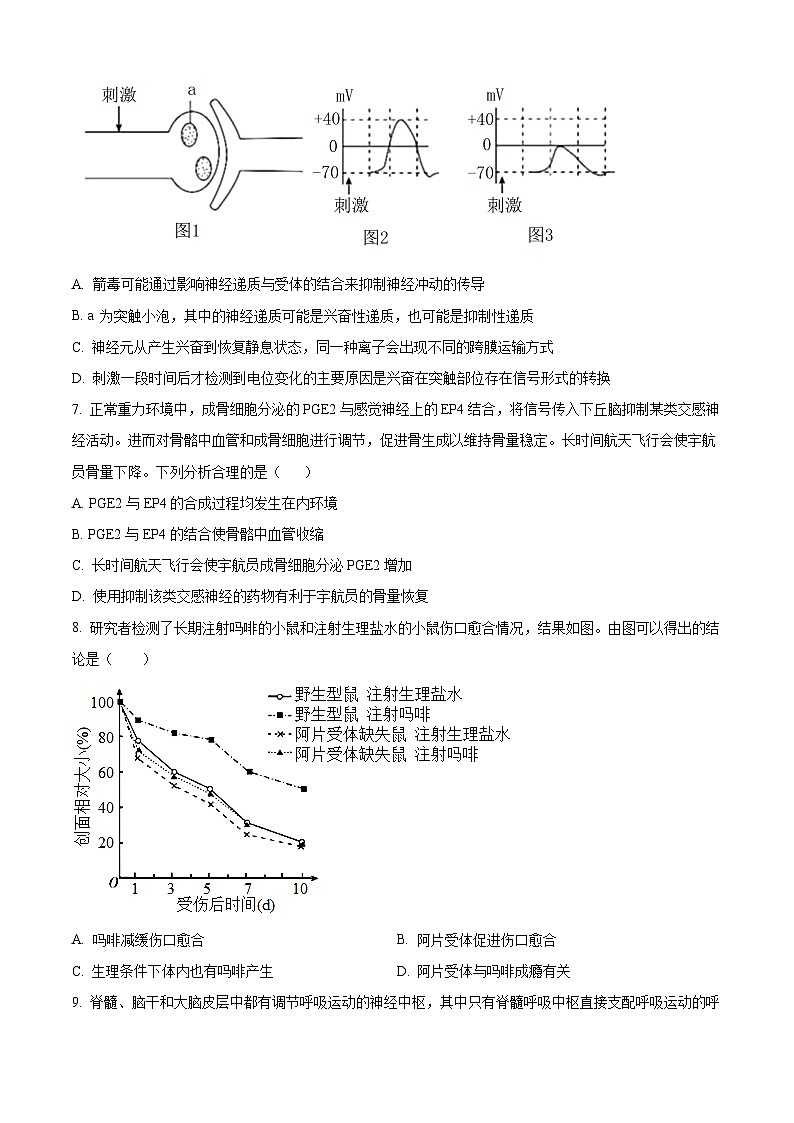 四川省绵阳中学2024-2025学年高二上学期11月期中考试生物题 Word版无答案第3页