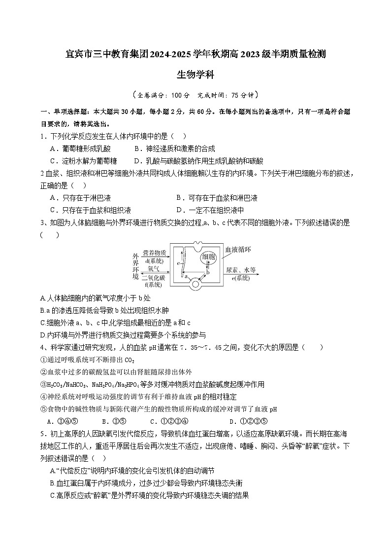 四川省宜宾市第三中学2024-2025学年高二上学期期中考试生物试卷(Word版附答案)第1页