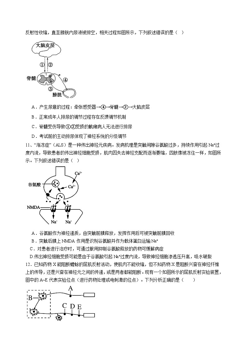 四川省宜宾市第三中学2024-2025学年高二上学期期中考试生物试卷(Word版附答案)第3页