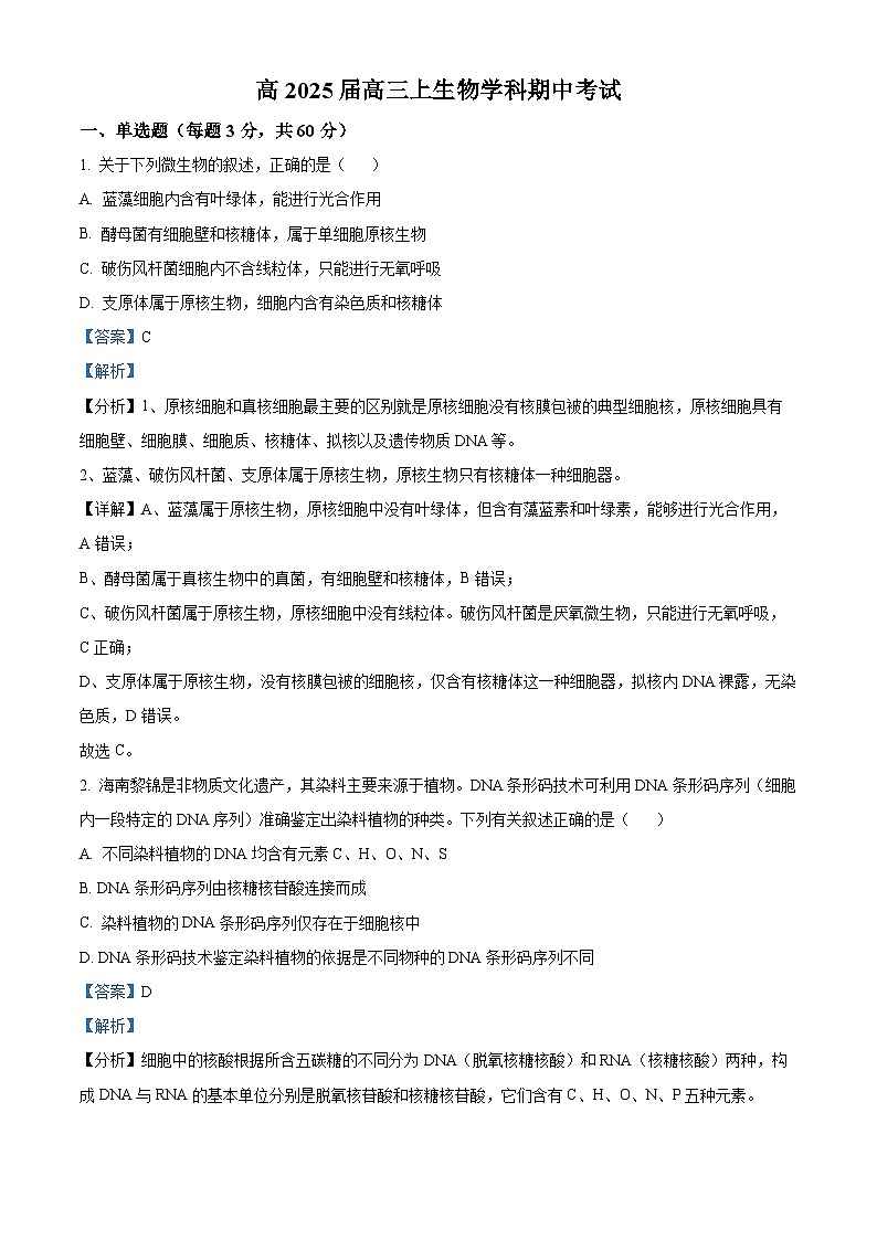 四川省自贡市贡井区旭川中学2024-2025学年高三上学期11月期中考试生物试题 Word版含解析第1页